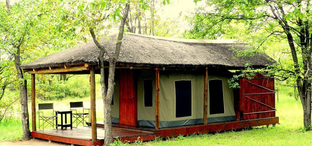 Shindzela Tented Camp 提巴瓦盖雷泽 外观 照片