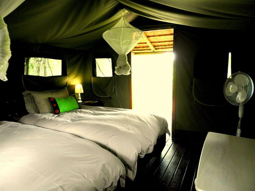 Shindzela Tented Camp 提巴瓦盖雷泽 外观 照片