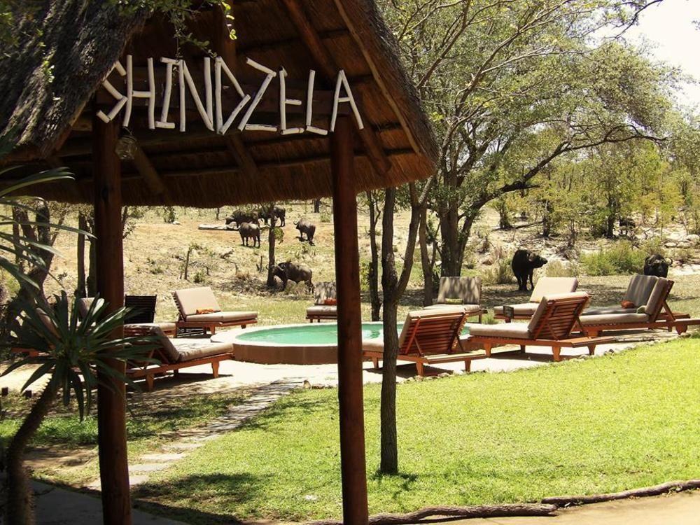 Shindzela Tented Camp 提巴瓦盖雷泽 外观 照片