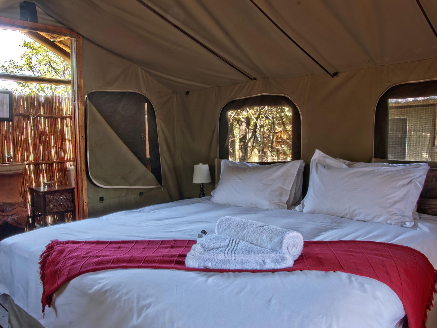 Shindzela Tented Camp 提巴瓦盖雷泽 外观 照片