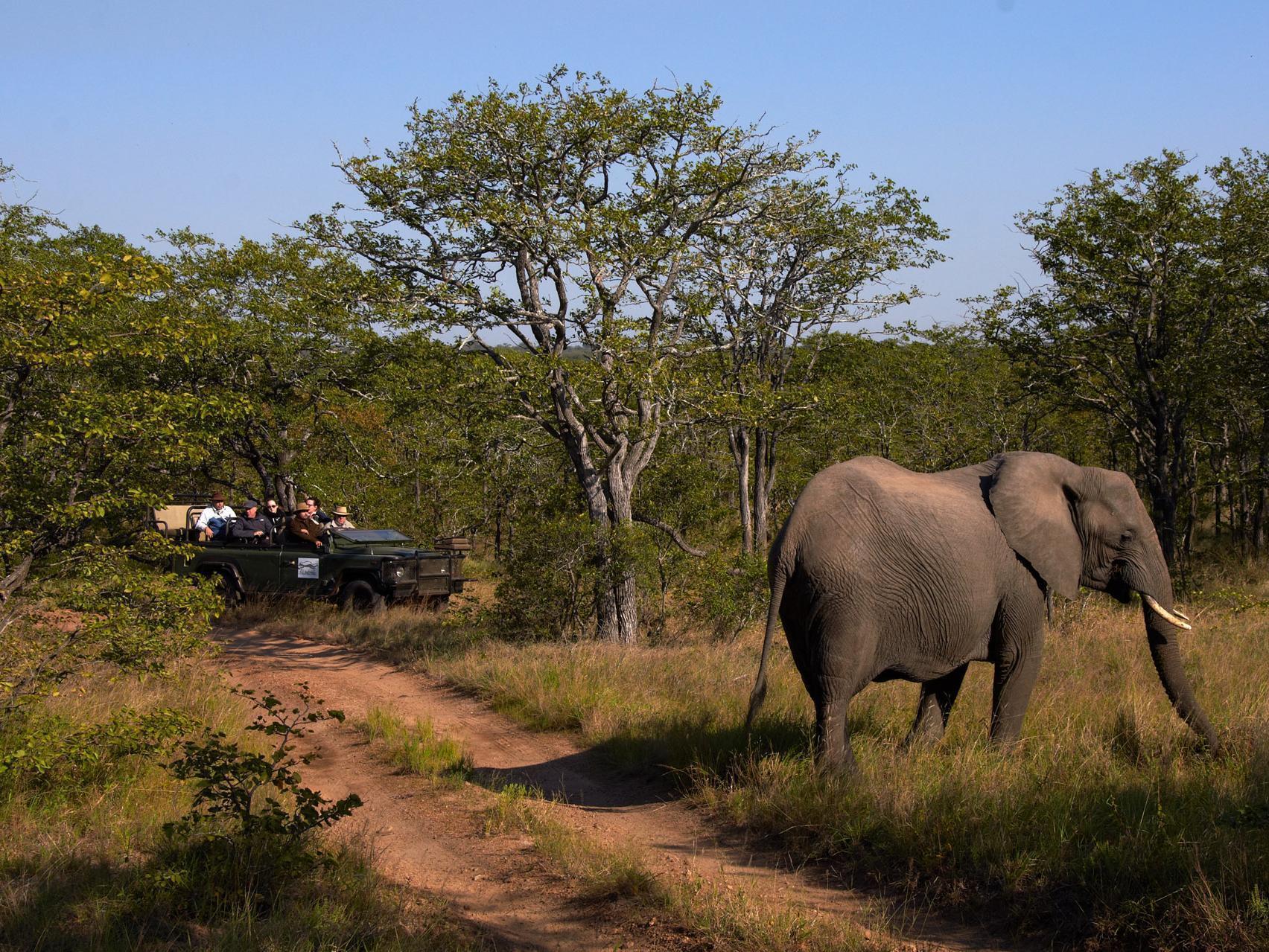 Shindzela Tented Camp 提巴瓦盖雷泽 外观 照片