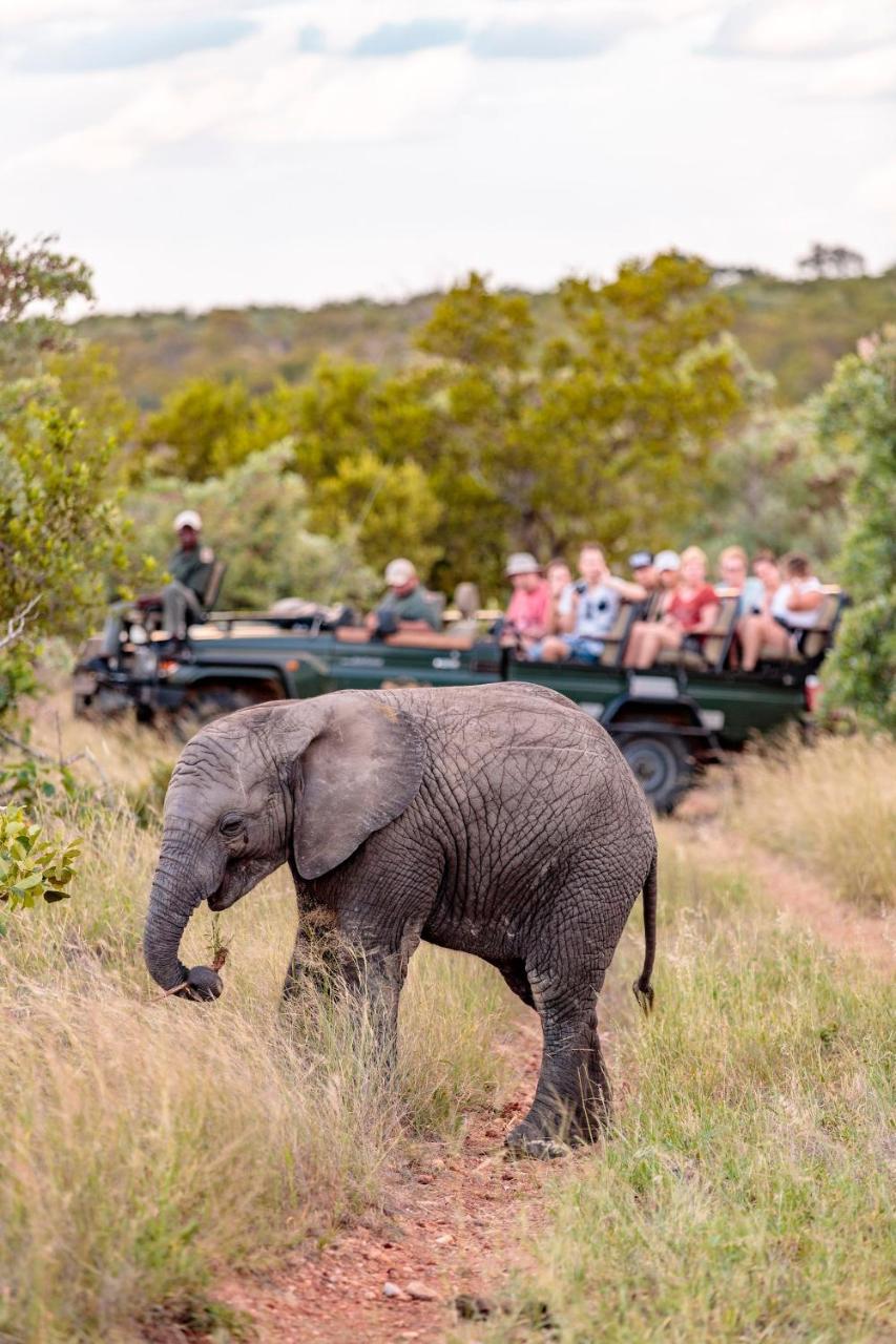 Shindzela Tented Camp 提巴瓦盖雷泽 外观 照片