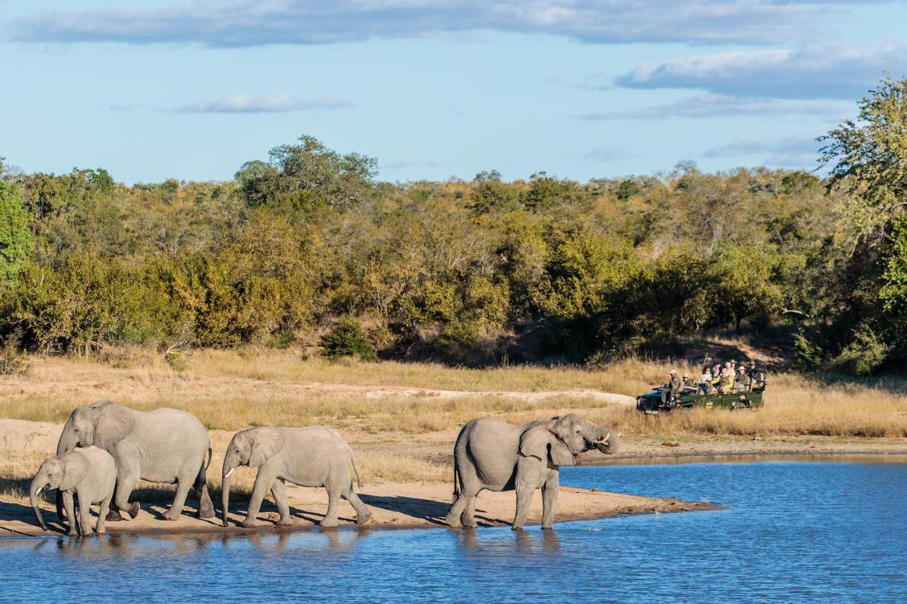 Shindzela Tented Camp 提巴瓦盖雷泽 外观 照片
