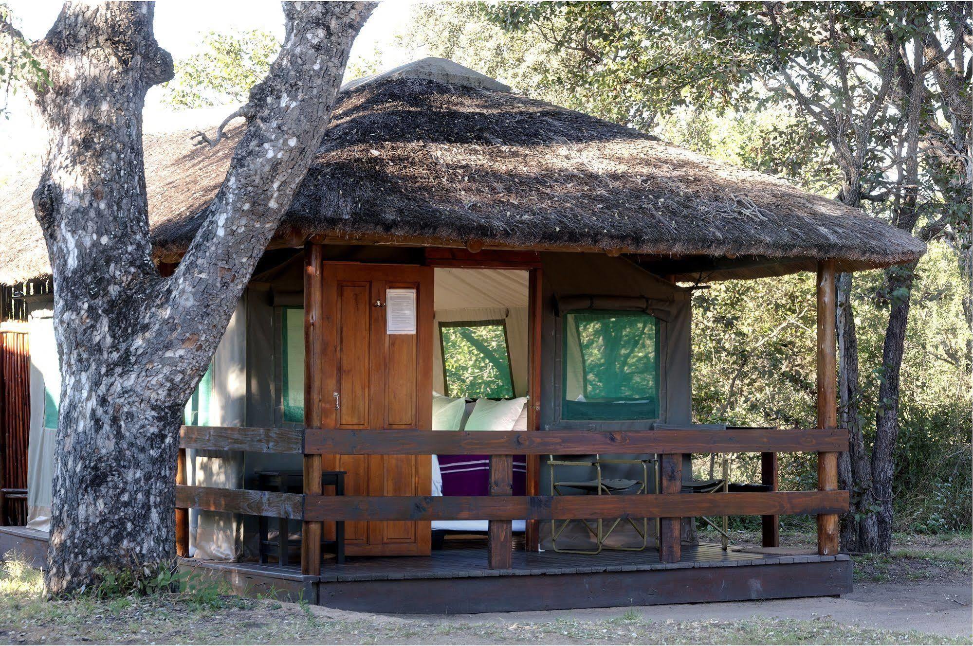 Shindzela Tented Camp 提巴瓦盖雷泽 外观 照片