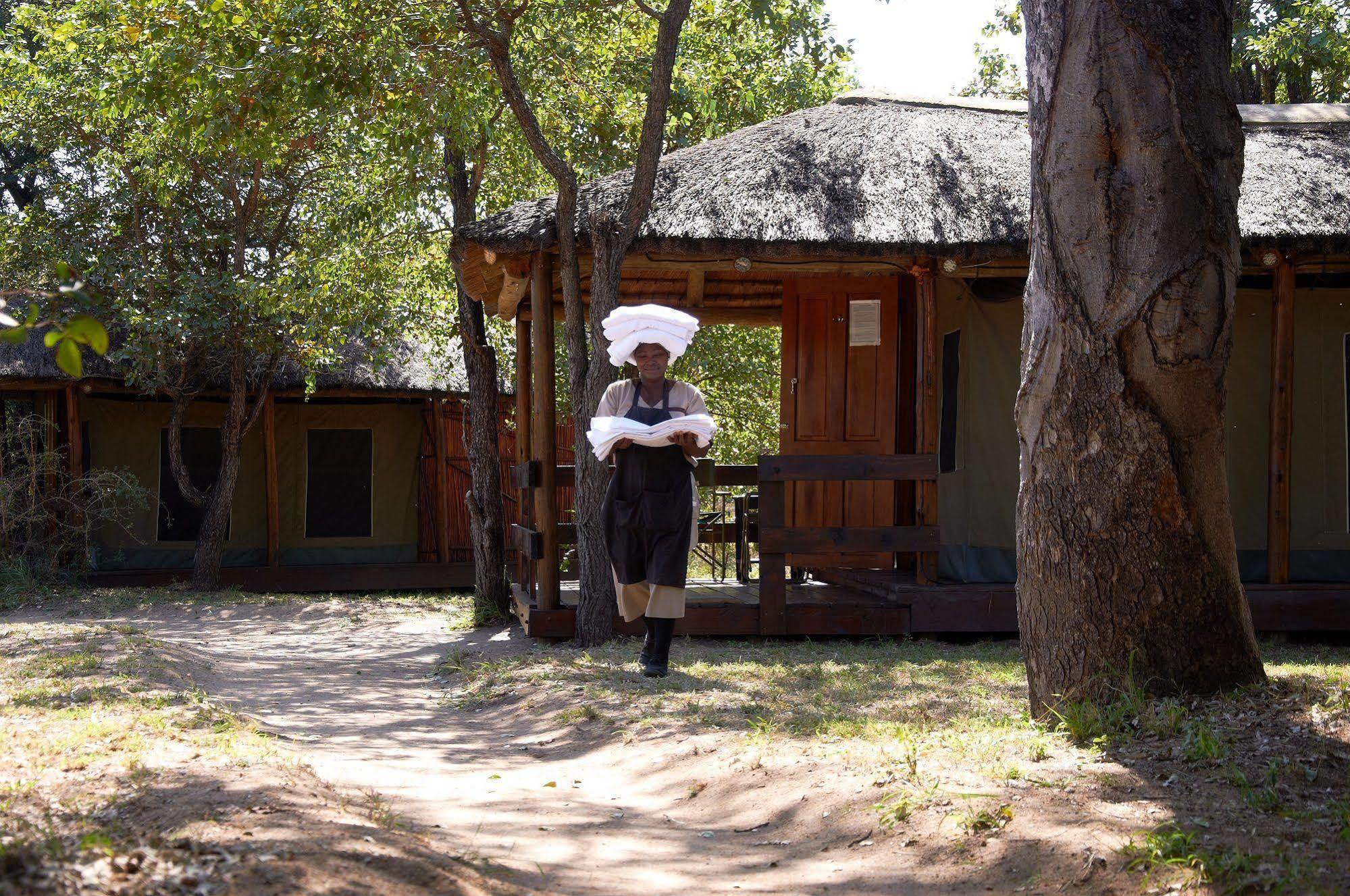 Shindzela Tented Camp 提巴瓦盖雷泽 外观 照片