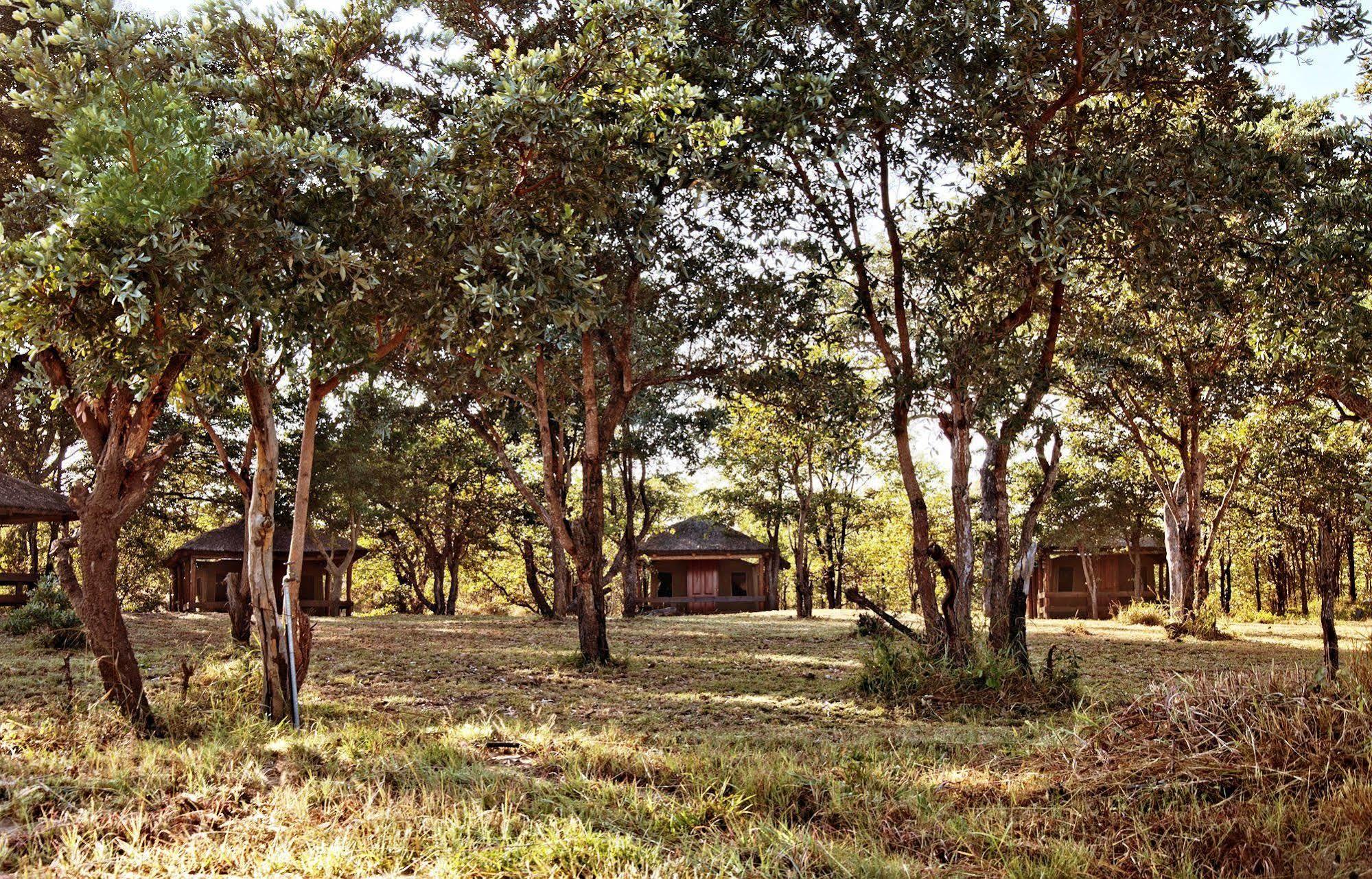Shindzela Tented Camp 提巴瓦盖雷泽 外观 照片