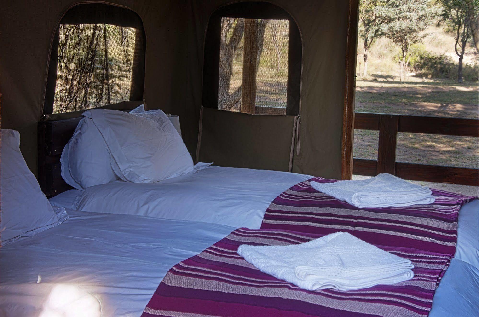 Shindzela Tented Camp 提巴瓦盖雷泽 外观 照片