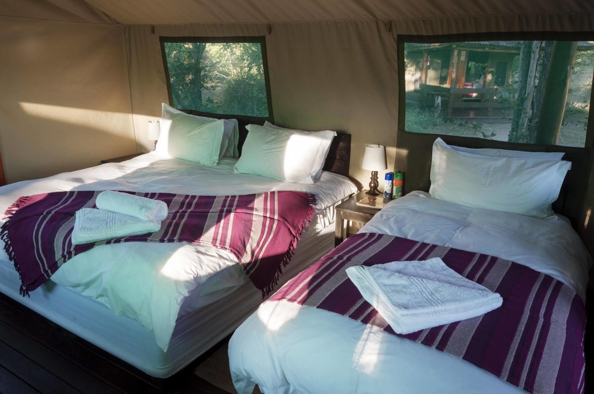 Shindzela Tented Camp 提巴瓦盖雷泽 外观 照片