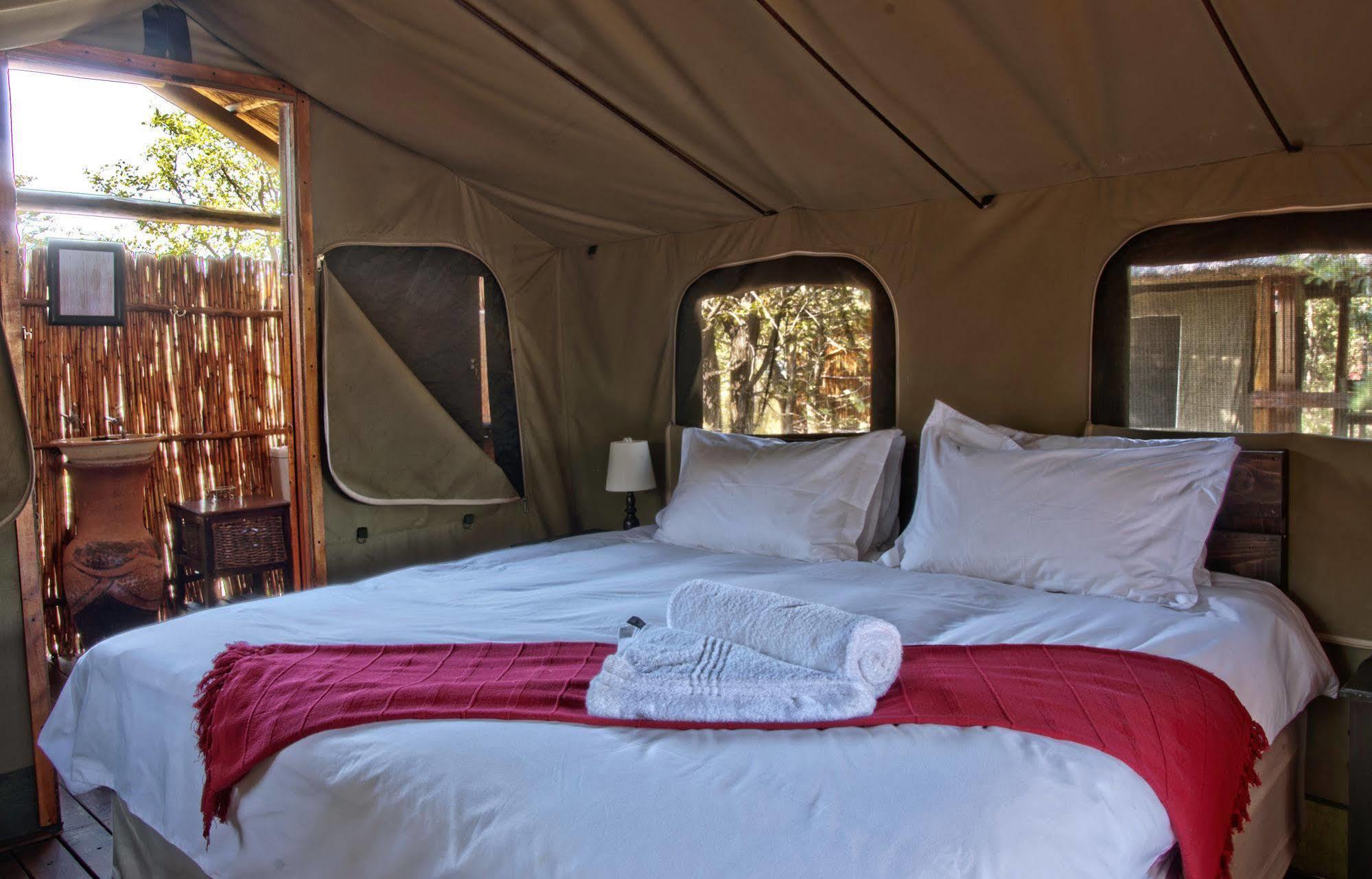 Shindzela Tented Camp 提巴瓦盖雷泽 外观 照片