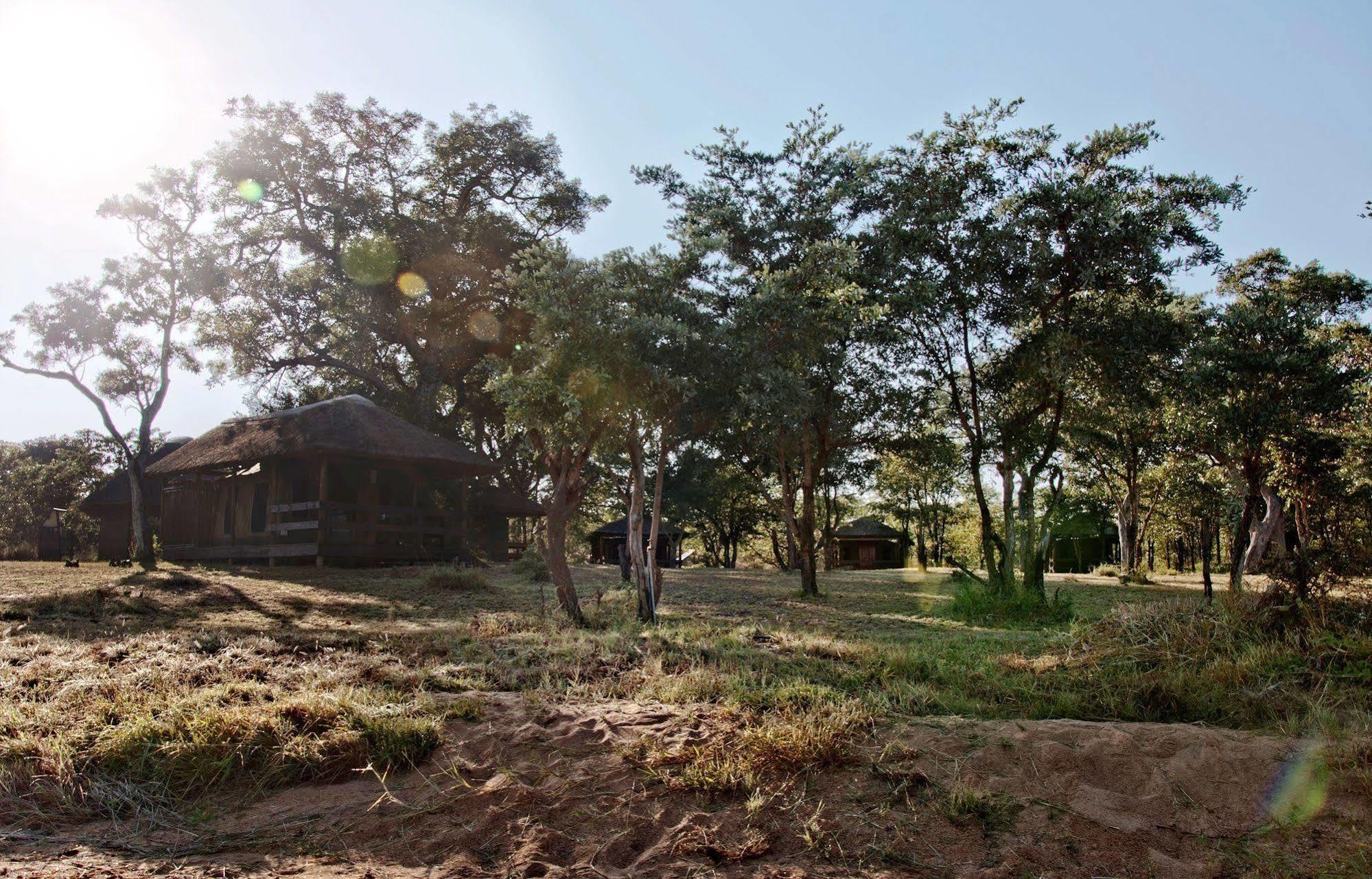 Shindzela Tented Camp 提巴瓦盖雷泽 外观 照片