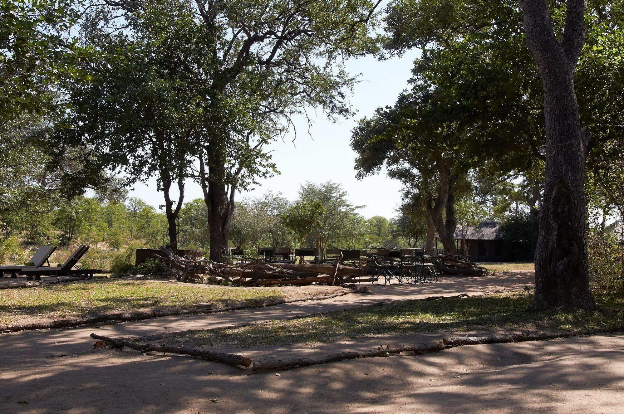 Shindzela Tented Camp 提巴瓦盖雷泽 外观 照片