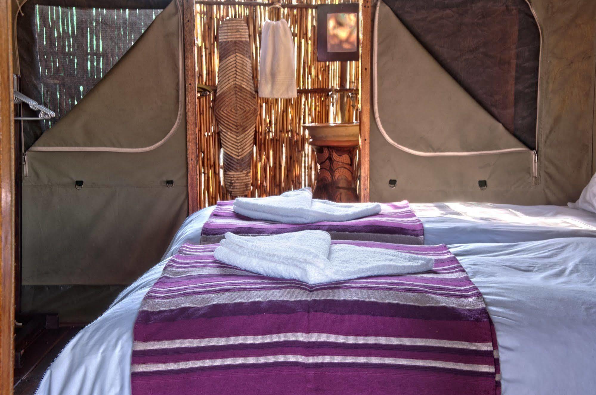 Shindzela Tented Camp 提巴瓦盖雷泽 外观 照片