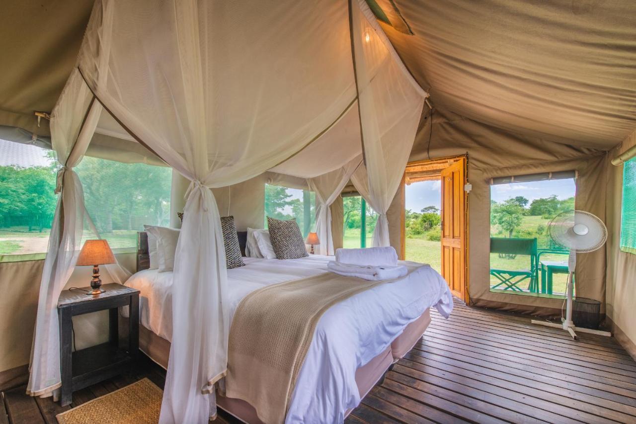 Shindzela Tented Camp 提巴瓦盖雷泽 外观 照片
