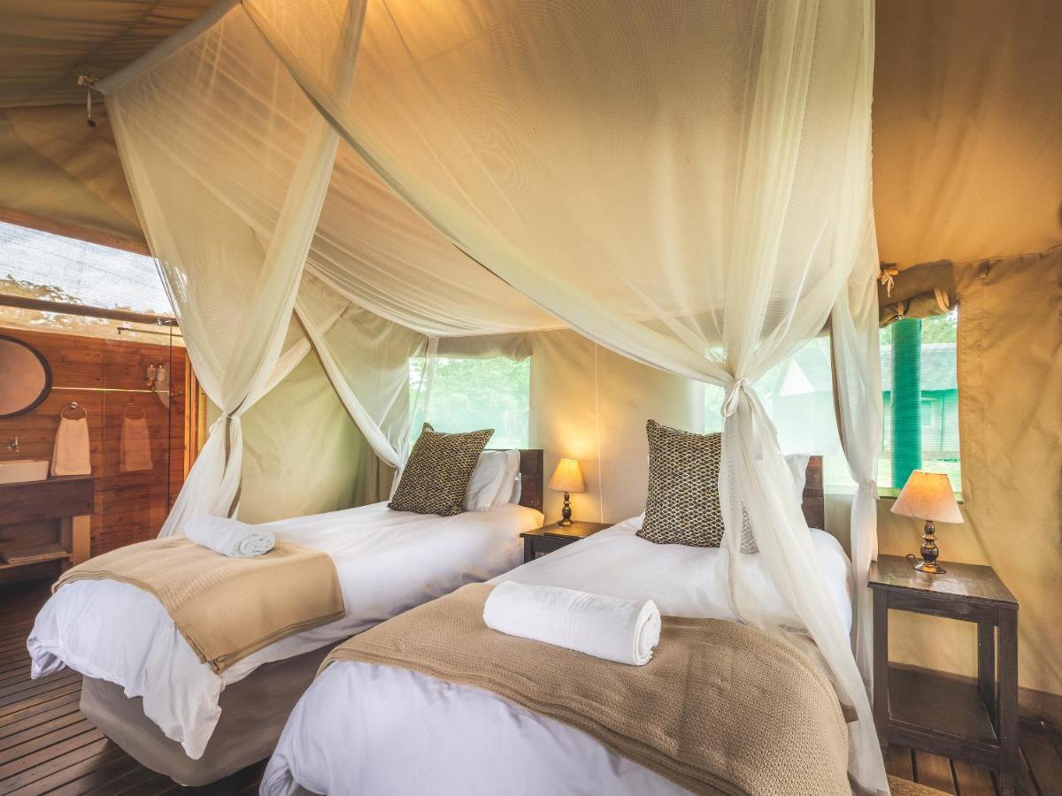 Shindzela Tented Camp 提巴瓦盖雷泽 外观 照片