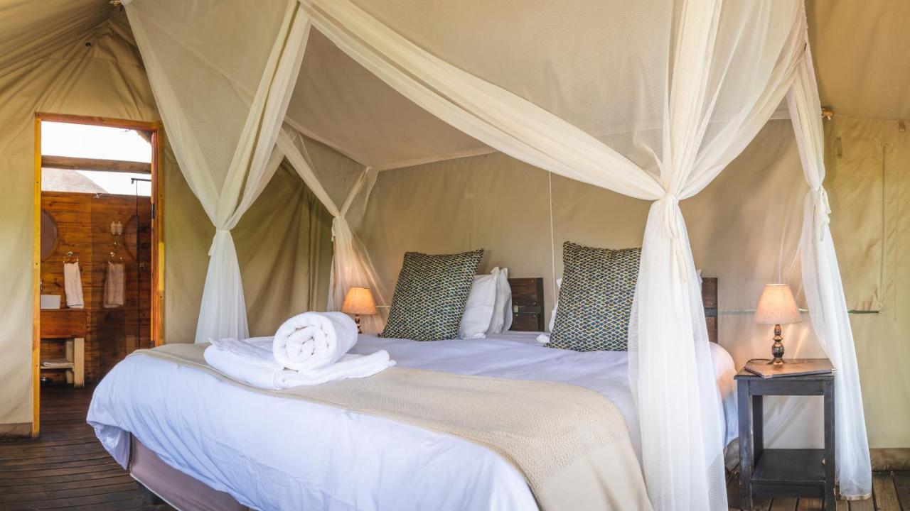 Shindzela Tented Camp 提巴瓦盖雷泽 外观 照片
