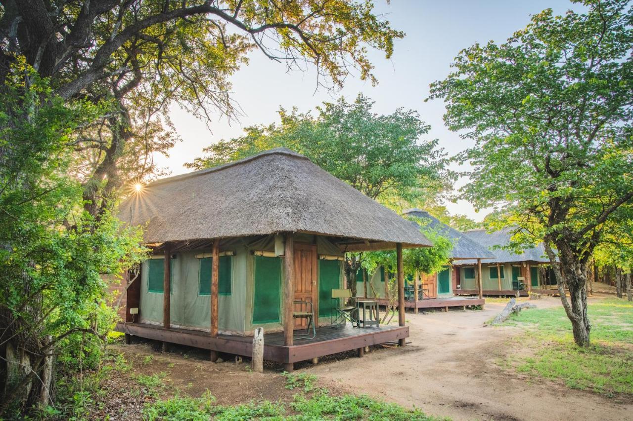Shindzela Tented Camp 提巴瓦盖雷泽 外观 照片