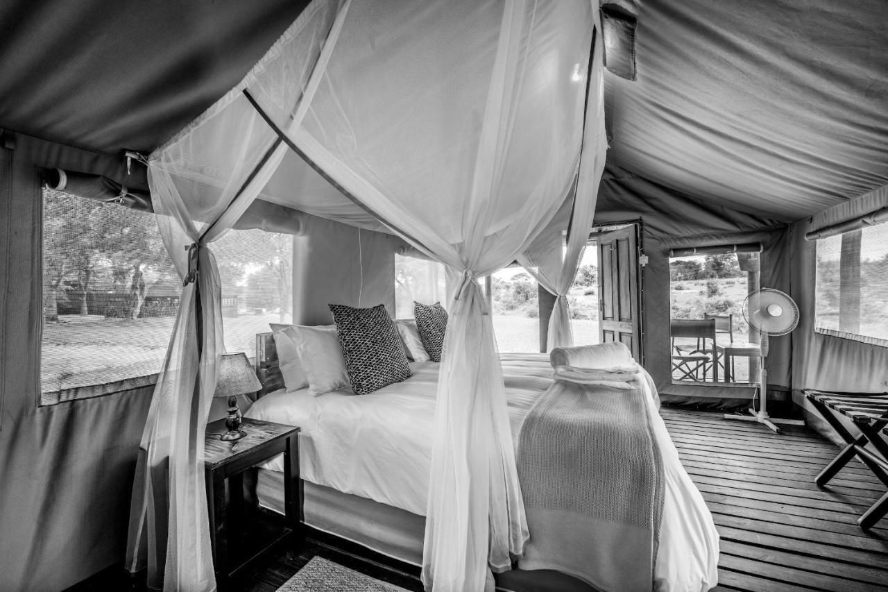 Shindzela Tented Camp 提巴瓦盖雷泽 外观 照片