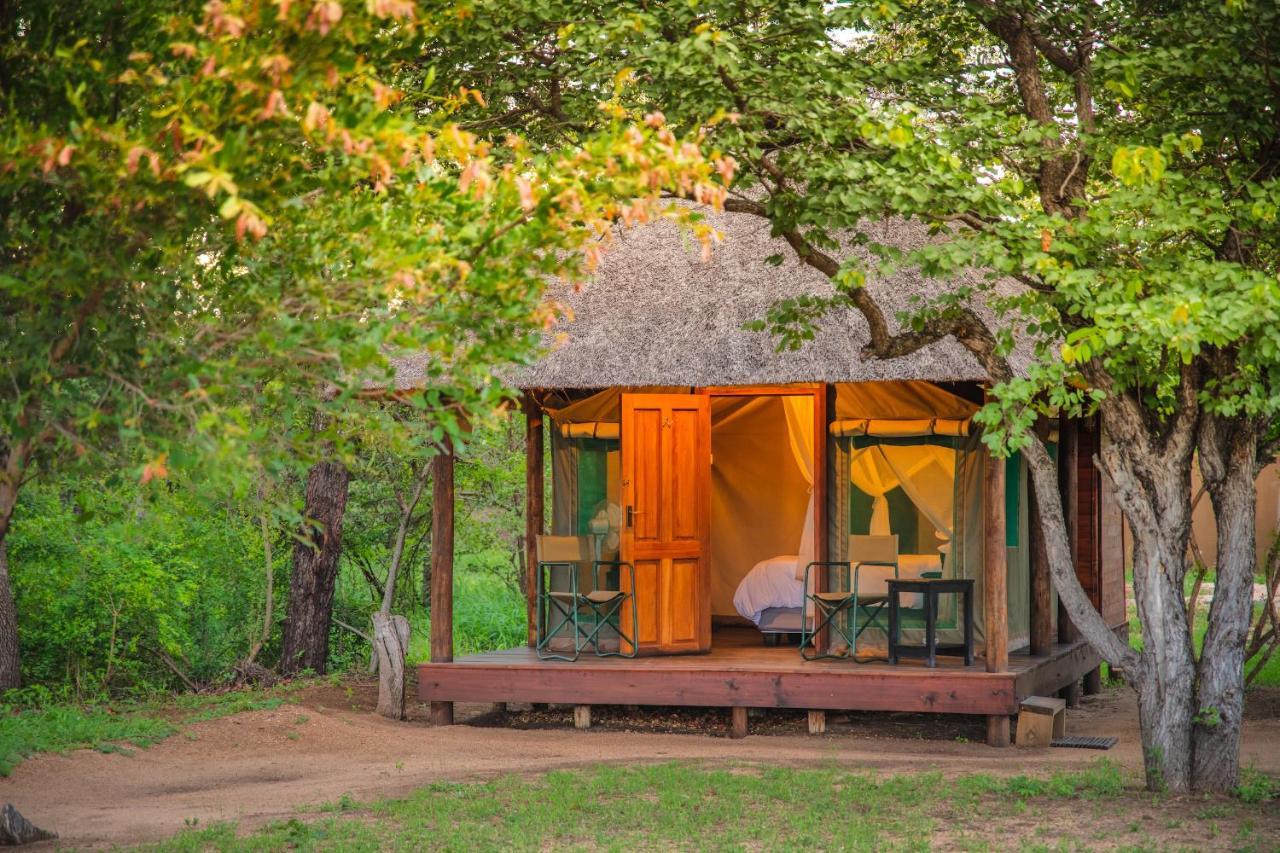 Shindzela Tented Camp 提巴瓦盖雷泽 外观 照片