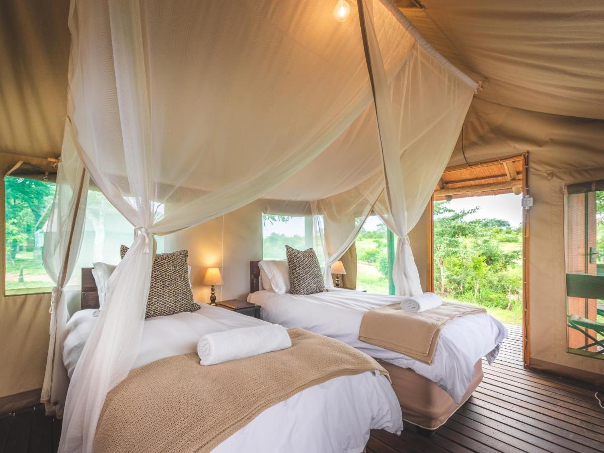 Shindzela Tented Camp 提巴瓦盖雷泽 外观 照片