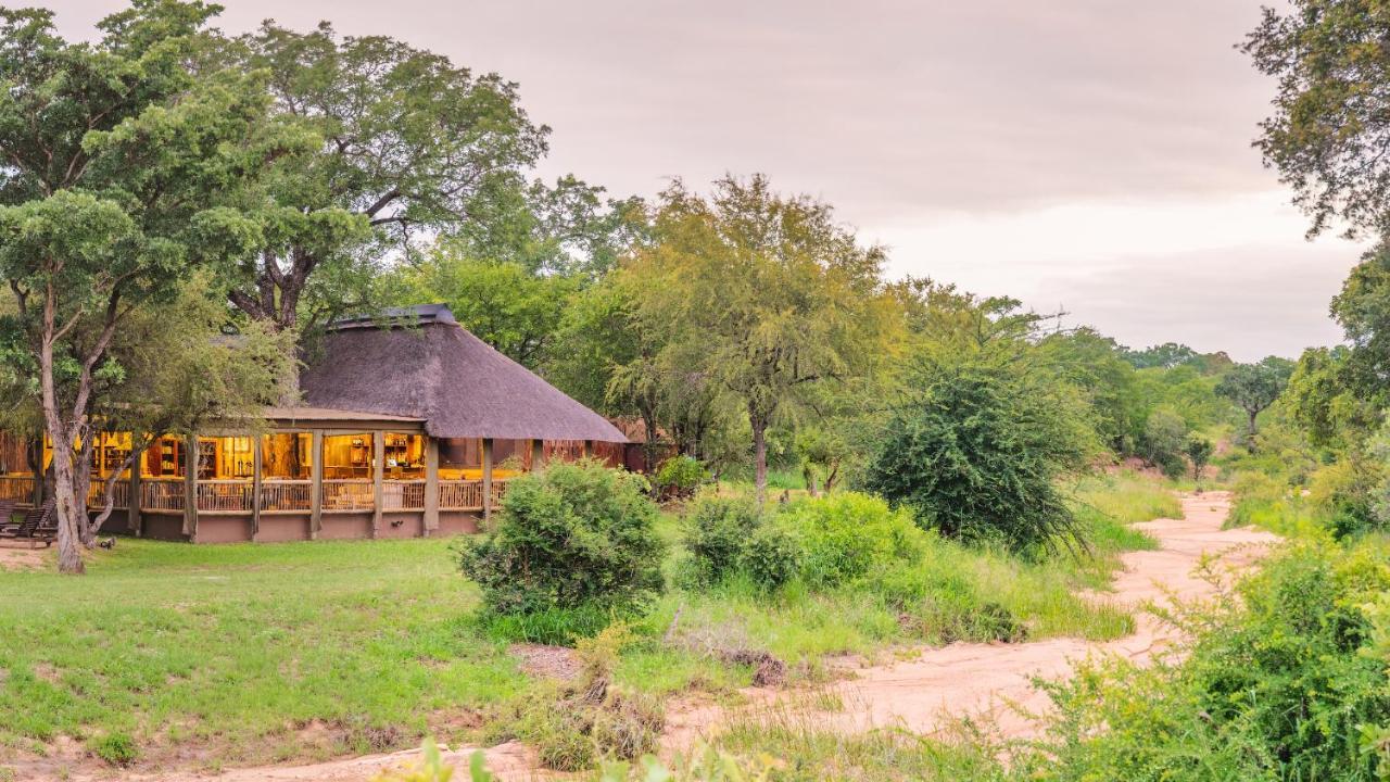 Shindzela Tented Camp 提巴瓦盖雷泽 外观 照片