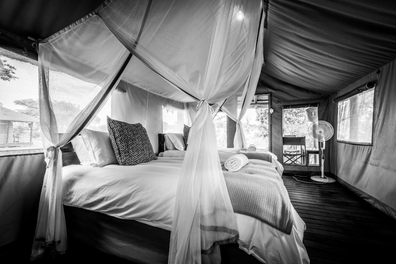 Shindzela Tented Camp 提巴瓦盖雷泽 外观 照片