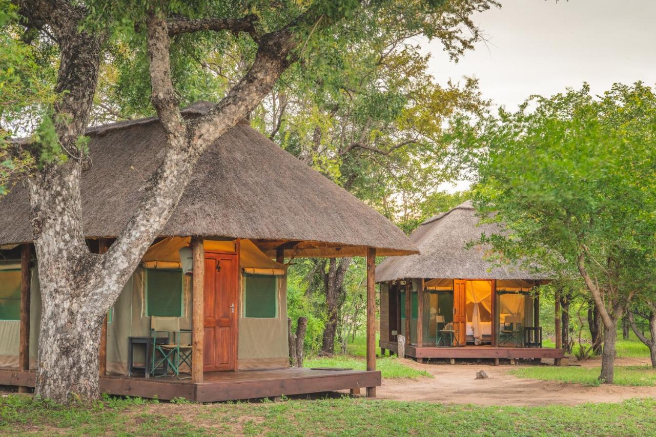 Shindzela Tented Camp 提巴瓦盖雷泽 外观 照片