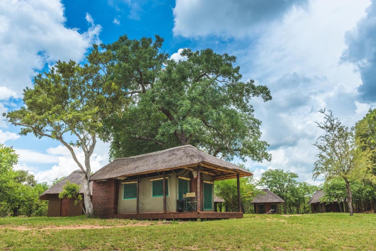 Shindzela Tented Camp 提巴瓦盖雷泽 外观 照片