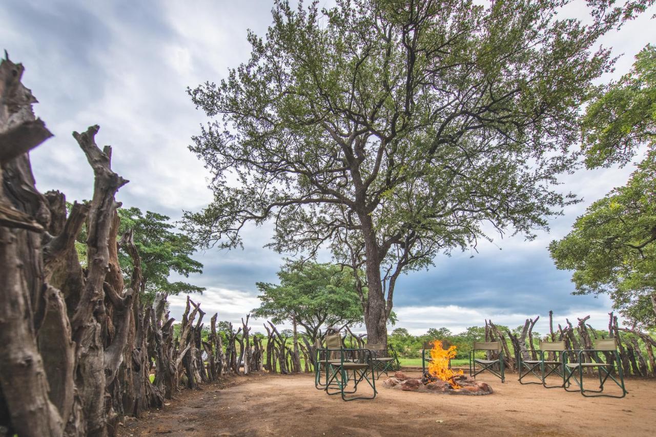 Shindzela Tented Camp 提巴瓦盖雷泽 外观 照片
